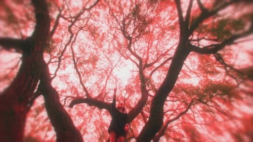 A Little More Flesh Bild 1