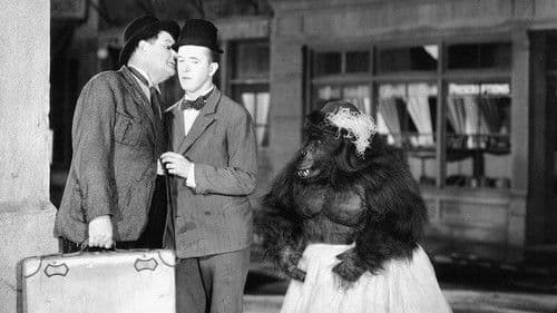 Dick und Doof in der Manege Bild 1