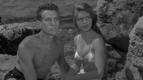 Sommernächte mit Manina Bild 4