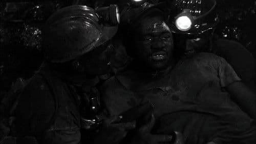 Mädchen im Schaufenster Bild 4