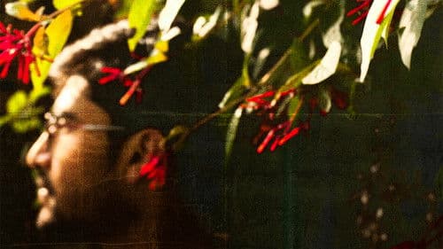 मरासिम Bild 1