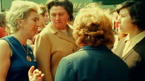 Des quetsches pour l'hiver Bild 1