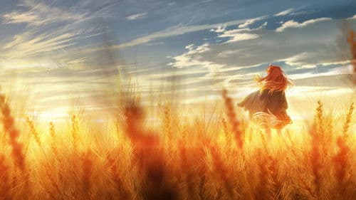 Spice and Wolf: MERCHANT MEETS THE WISE WOLF Bild 2