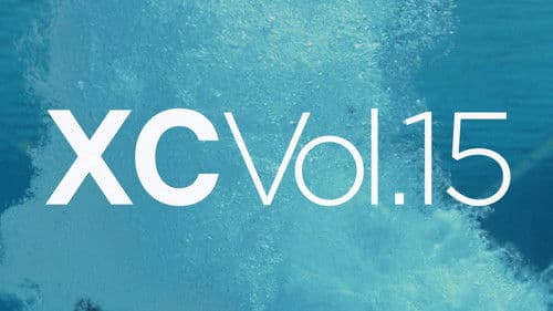 XConfessions 15 Bild 1