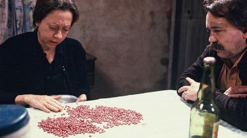 Ohne Schlips und Kragen Bild 3