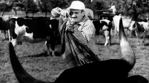 Wenn Louis eine Reise tut Bild 2