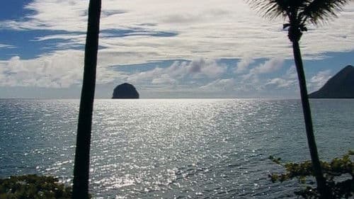 Édouard Glissant: One World in Relation Bild 1