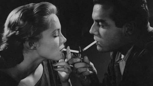 Estranho Encontro Bild 1