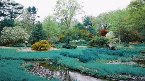 Out of Body, Out of Mind Bild 2