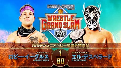 NJPW Wrestle Grand Slam In Tokyo Dome Bild 7