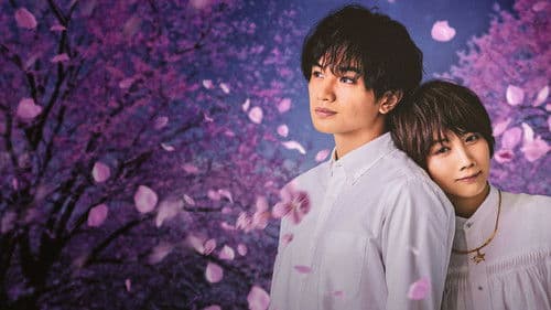 桜のような僕の恋人 Bild 2