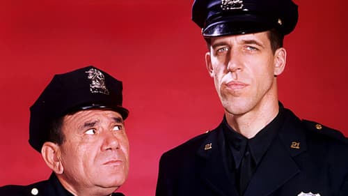 Wagen 54, bitte melden Bild 3