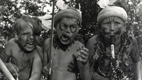 Žydrasis horizontas Bild 2