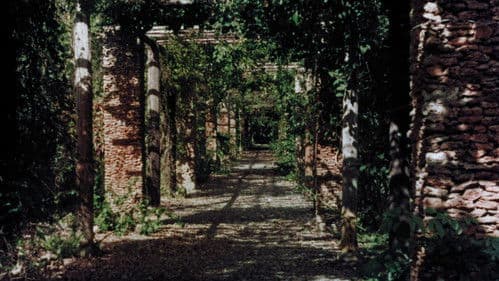 Nackt im Sommerwind Bild 5