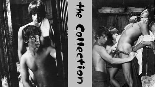 The Collection Bild 1