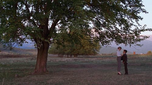 დასაწყისი Bild 5