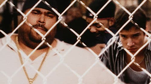 Boricua's Bond Bild 1