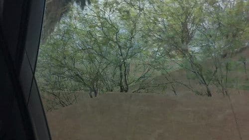 Aridity Enclosure 1 Bild 1