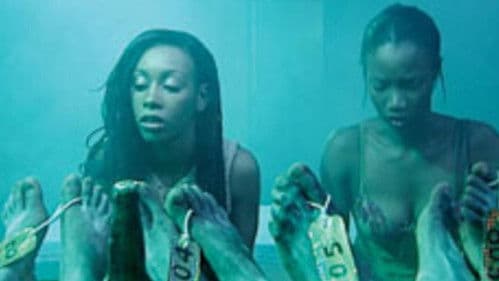 Die Blutenden Bild 3