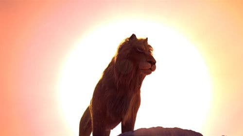 Lion Bild 2