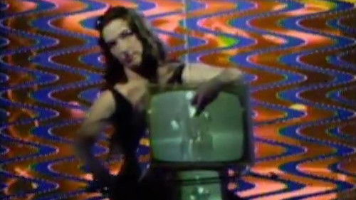 Global Groove Bild 1