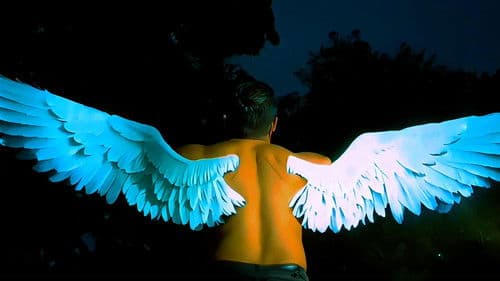 Las sombras también tienen alas Bild 3