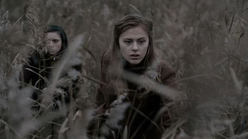 Die Schlacht um die Schelde Bild 7