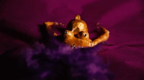 Woman Is My Last Name Bild 3