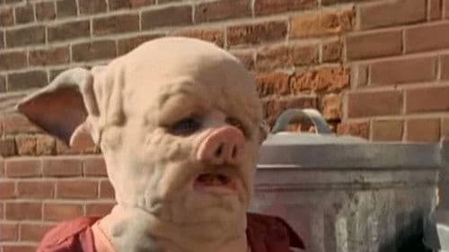 Goosebumps: Chillogy Bild 2