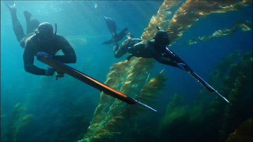 Whisper Breach Bild 1