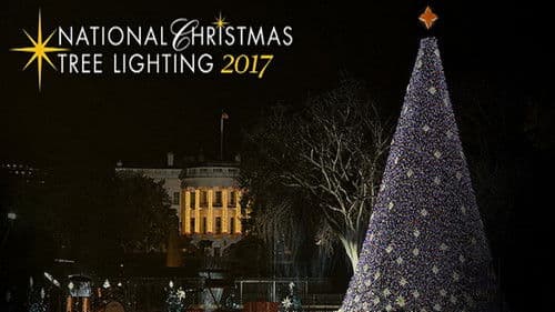 95th Annual National Christmas Tree Lighting Bild 2