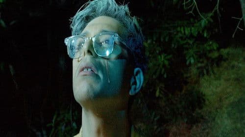 A Night at the Park Bild 1