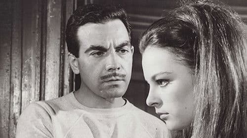 Kumarbazın İntikamı Bild 1