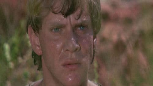 Im Visier des Falken Bild 7