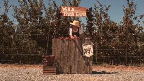 Windfall Rising Bild 1