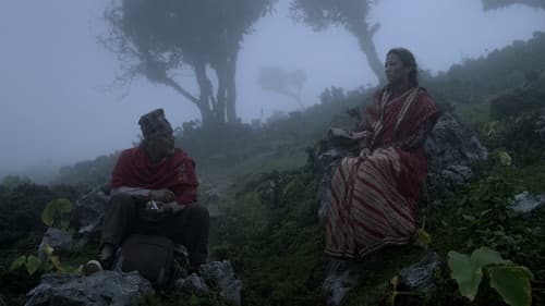 पानीफोटो Bild 6