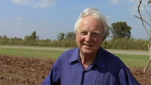 This Ain't No Mouse Music! Bild 1