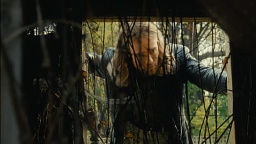 Les escaliers sont en papier Bild 1