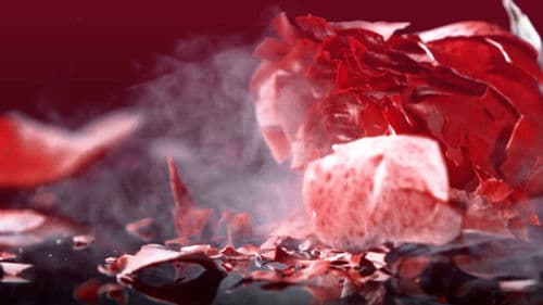 Shattered Hearts Bild 1