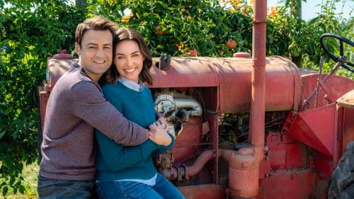 Falling for You - Ein Kuchen für zwei Bild 3