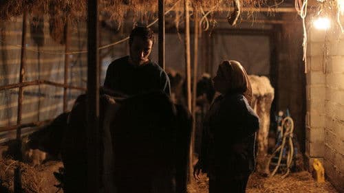 خمیازهٔ بزرگ Bild 5