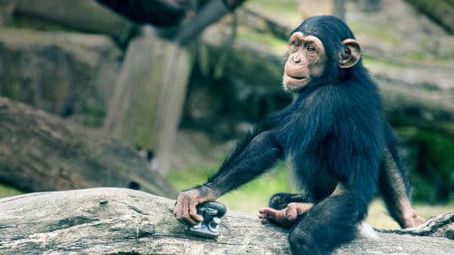 Secrets of the Zoo: Down Under Bild 6