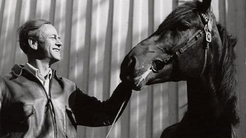 Dei svarte hestane Bild 2