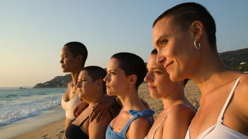 Die Mädchen aus der letzten Reihe Bild 4