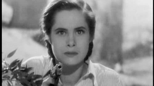 Der Weg zur Hölle Bild 2