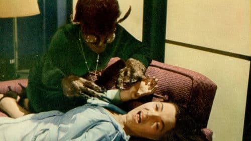 Die Wespenfrau Bild 1