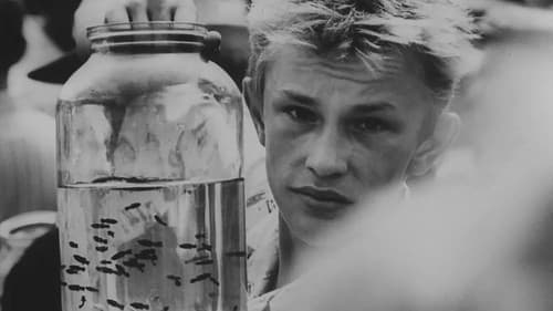 Si j'avais quatre dromadaires Bild 2