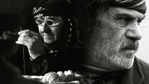 دوایین زستان Bild 1