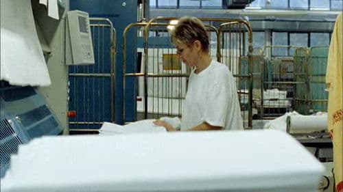 Die wundersame Welt der Waschkraft Bild 1