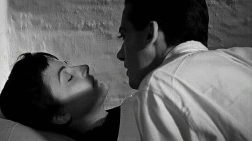 Το Οργανάκι του Αττίκ Bild 4